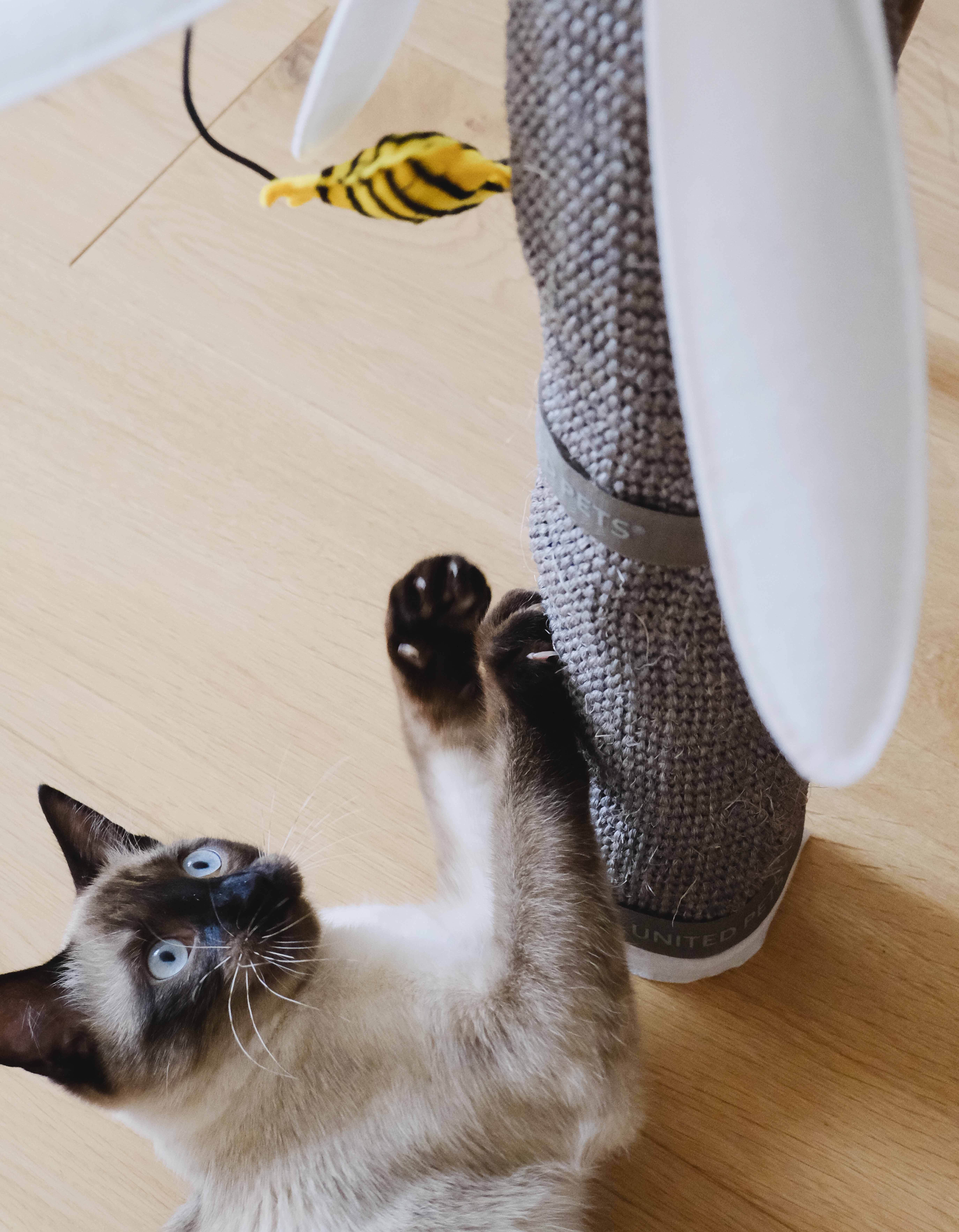 United Pets - Wholesale Pet Scratcher - Cat - Daisy-shaped table leg scratcher for cats5