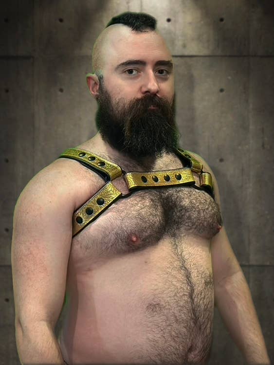 Bold Bulldog Sele - Metallisk (Fås i 4 farver) for engroshandel hos The Montrose Forge