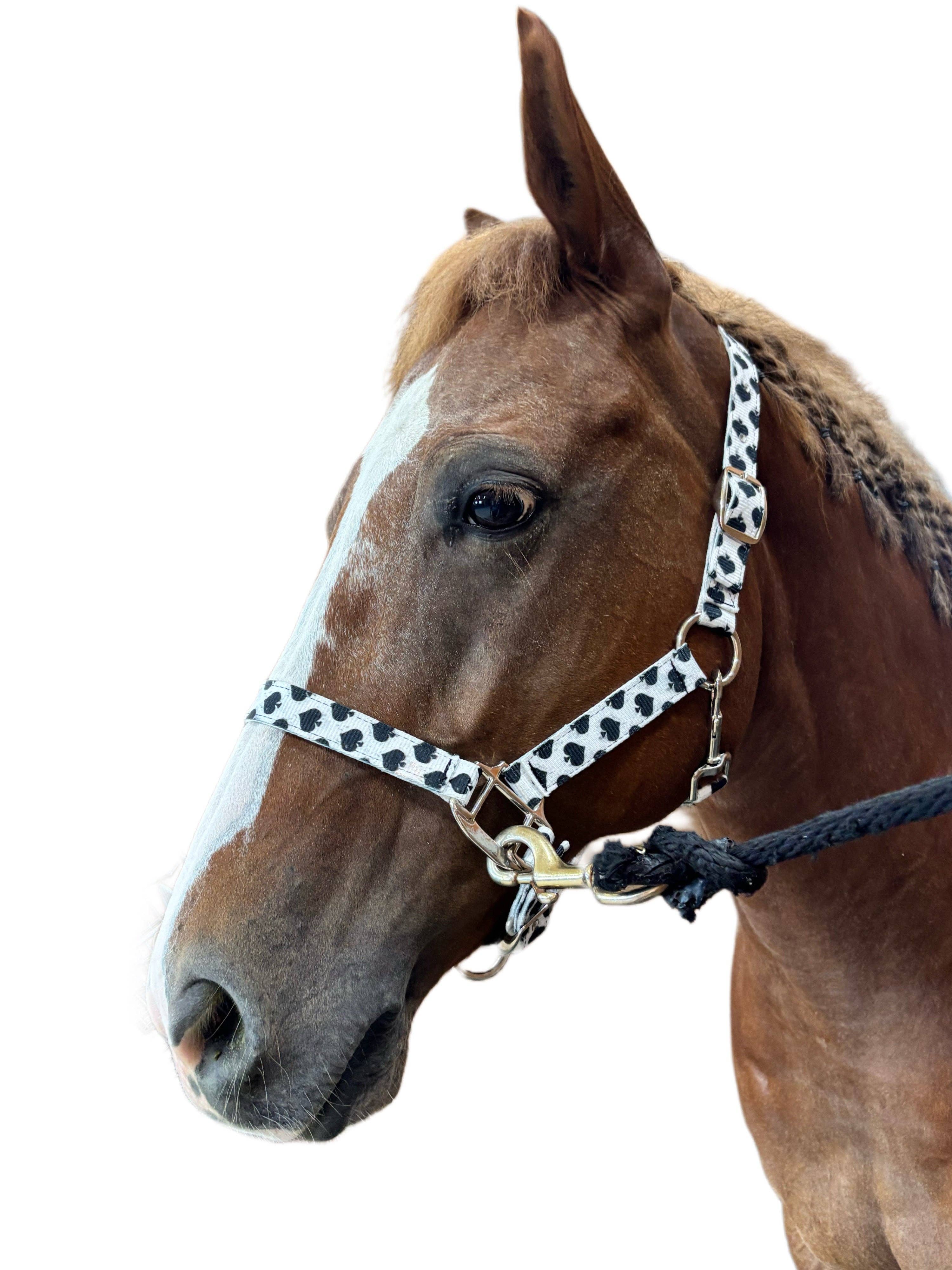 Neon Spur LLC - Wholesale Horseback Riding Gear - Smokin Spades Nylon Quick-Release Horse Halter