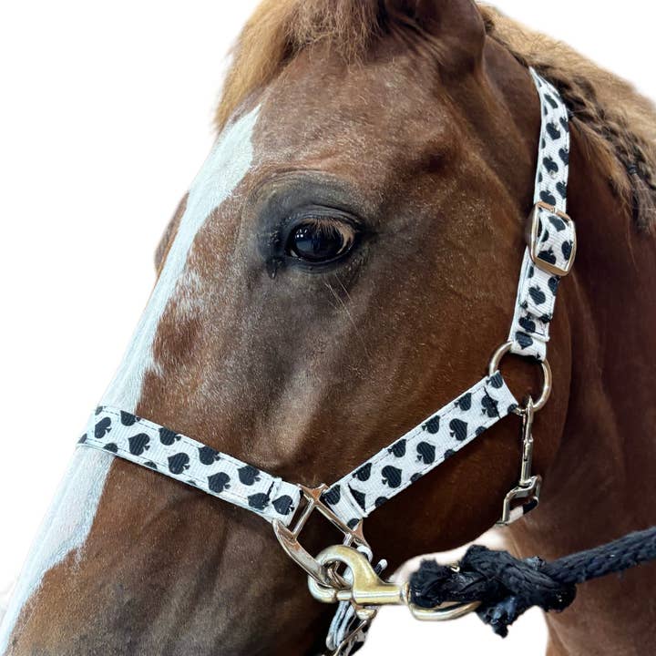 Neon Spur LLC - Wholesale Horseback Riding Gear - Smokin Spades Nylon Quick-Release Horse Halter0