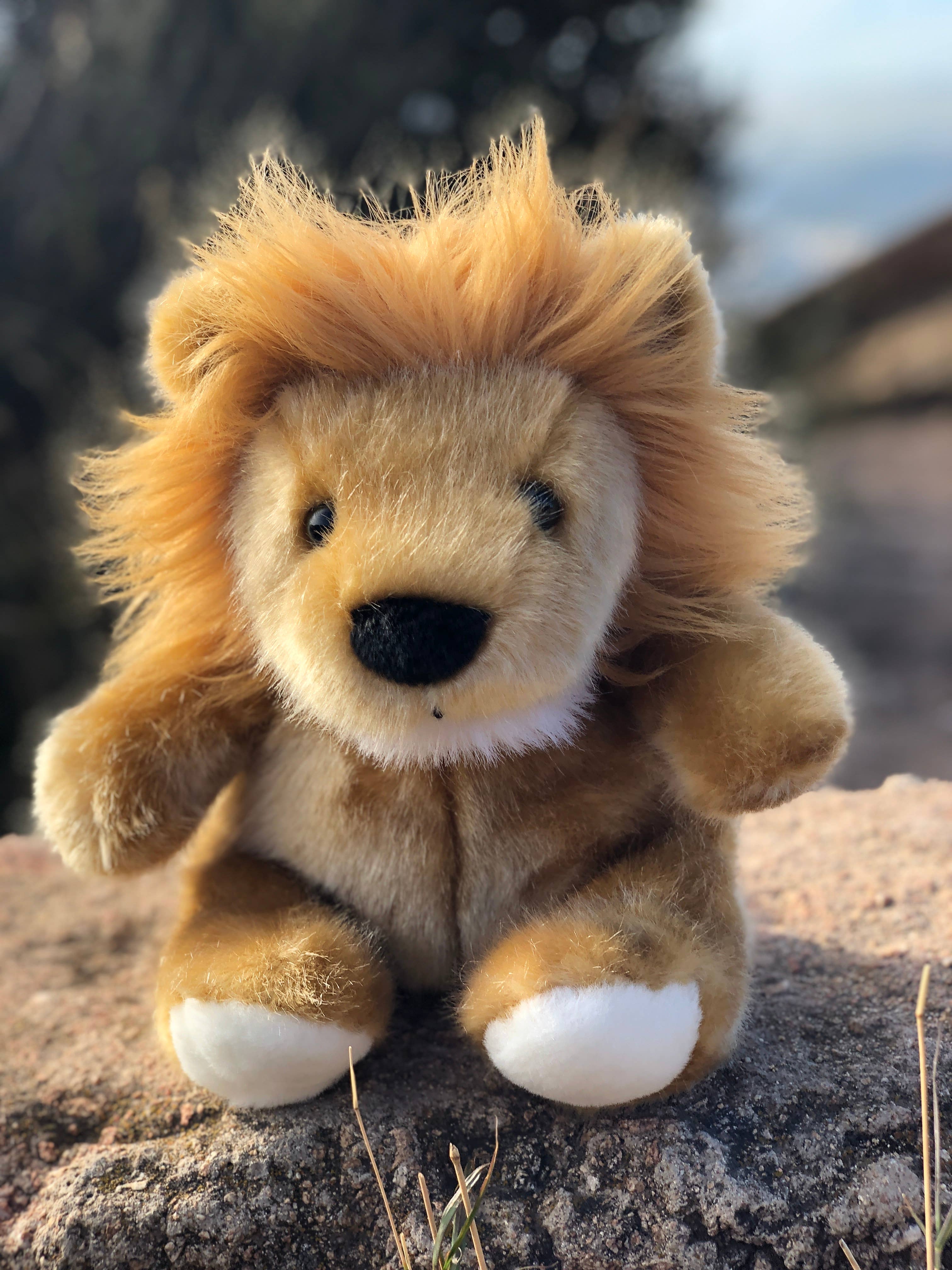 Plushland - Wholesale Stuffed/Plush Toy - Kids & Baby - Traditional Super Soft Golden Lion 11"2