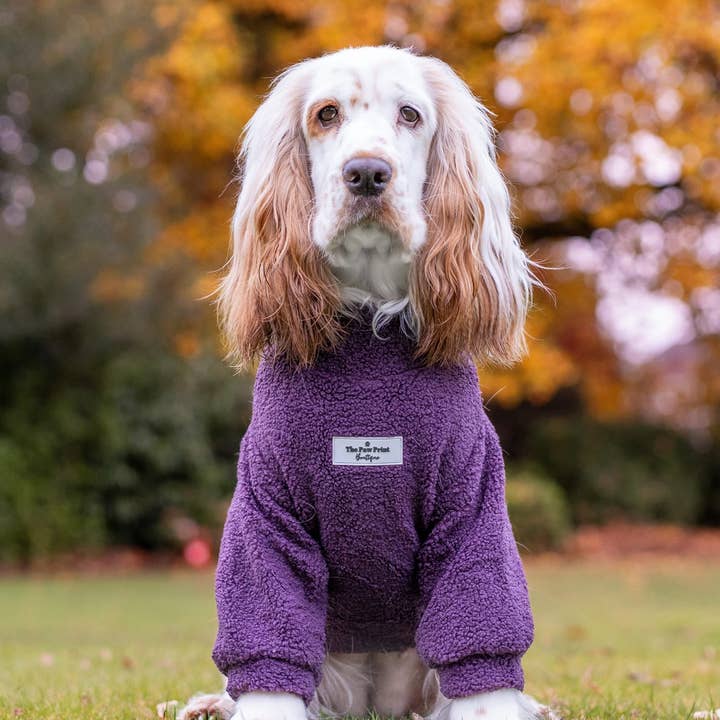 The Paw Print Boutique - Wholesale Pet Coat - Dog - Teddy Fleece - Plum9