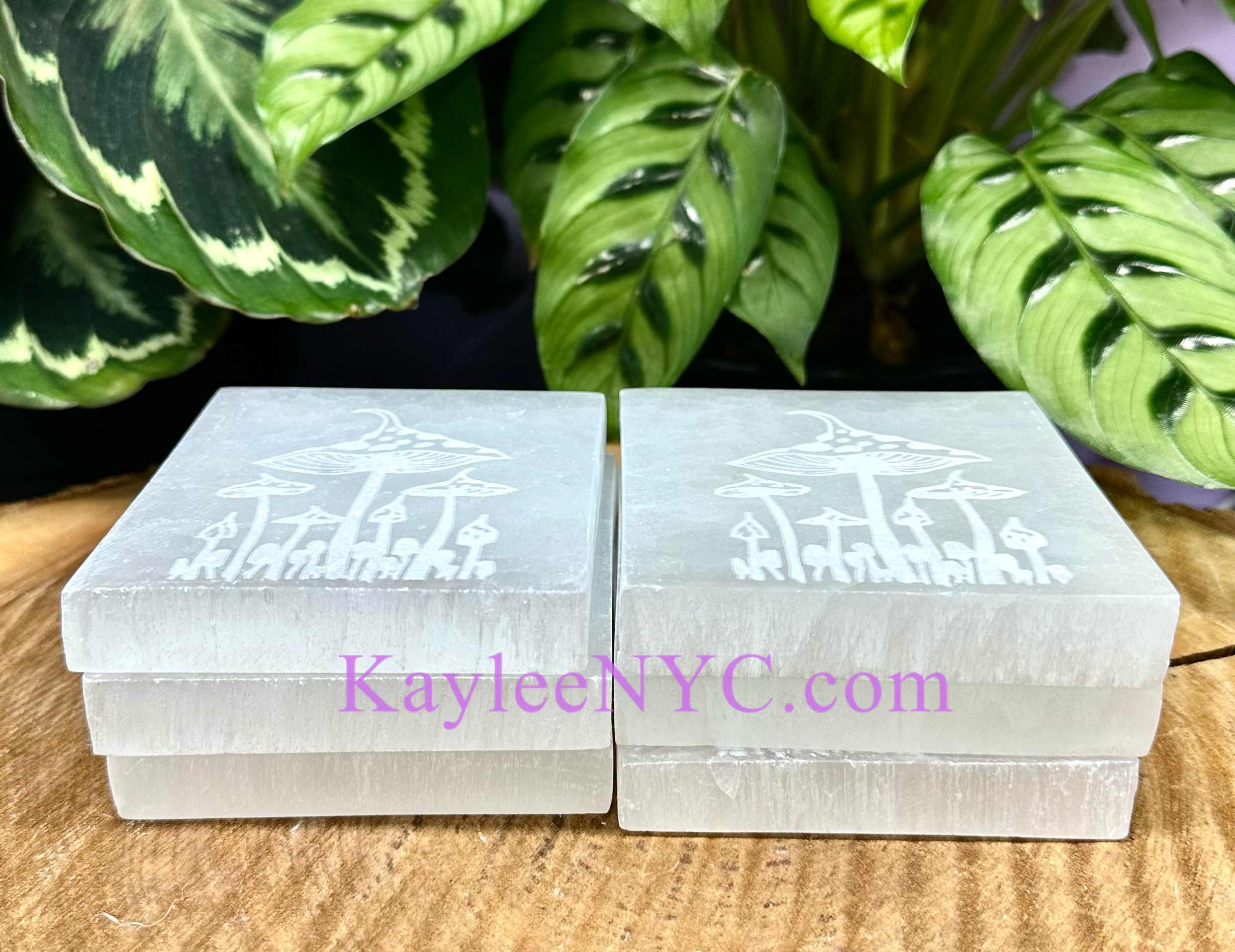 KayleeNYC - Wholesale Crystal Charging Plate - Natural Selenite Satin Spar Mushroom Charging Plate1