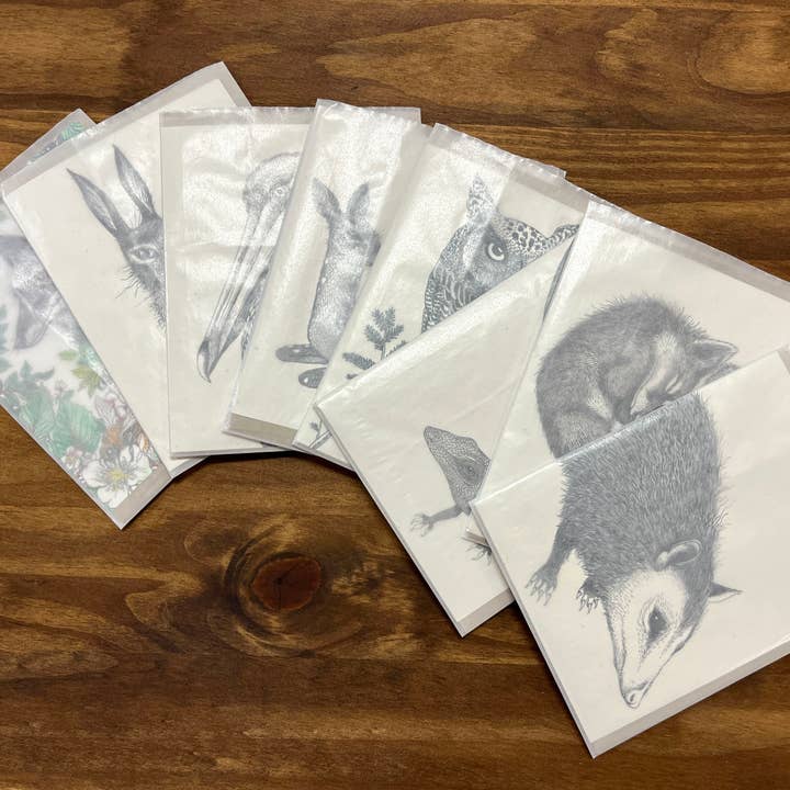 Fox & Comet – Engroshandel Brevpapir/sæt med noteskort – Dyrekort - Pungrotte3