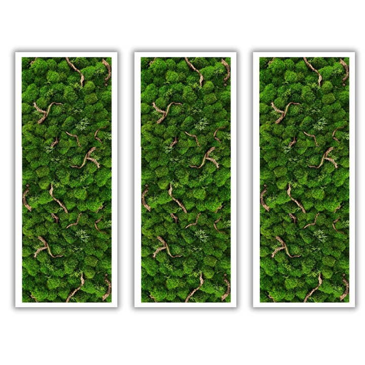 I Giardini Di Giulia - Venta al por mayor Papel pintado 3D - Cuadro Rectangular con Marco Blanco e Inserciones de Madera Natural