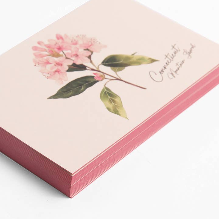 Connecticut berglaurier - Doos met 6 ansichtkaarten voor wholesale door Saltbox & Company