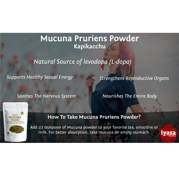 Iyasa Holistics – Engroshandel Protein-/superfoodpulver – Økologisk Mucuna Pulver6