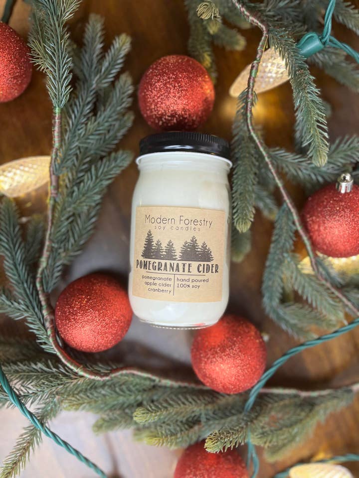 Wholesale Pomegranate Cider for wholesale by Modern Forestry