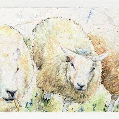 Large Sharing Board - Woolly Institute for wholesale by Country Creation