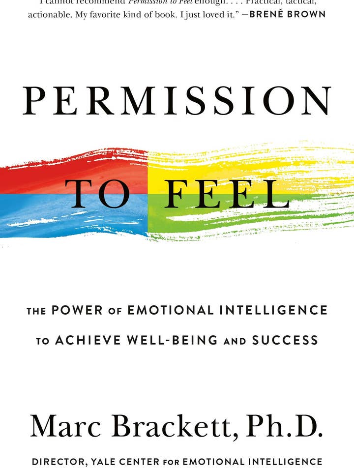 Permission To Feel: Emotional Intelligence For Success for wholesale by Macmillan Publishers