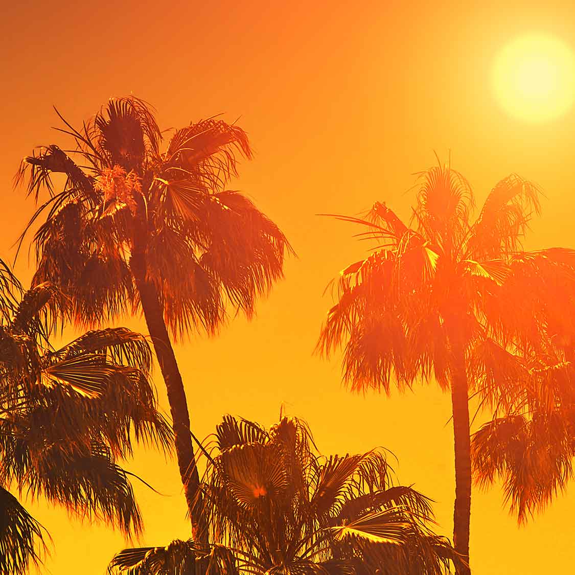 jubel naturals - Wholesale Pain Relief Spray/Cream - Pain Relief Aromatherapy Body Lotion2