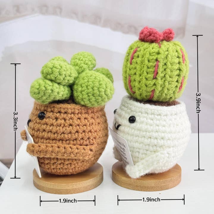 Anh2 LTD - Wholesale Decorative Tabletop Object - Crochet Succulent Cactus Plant, Life Would Succ Without You5