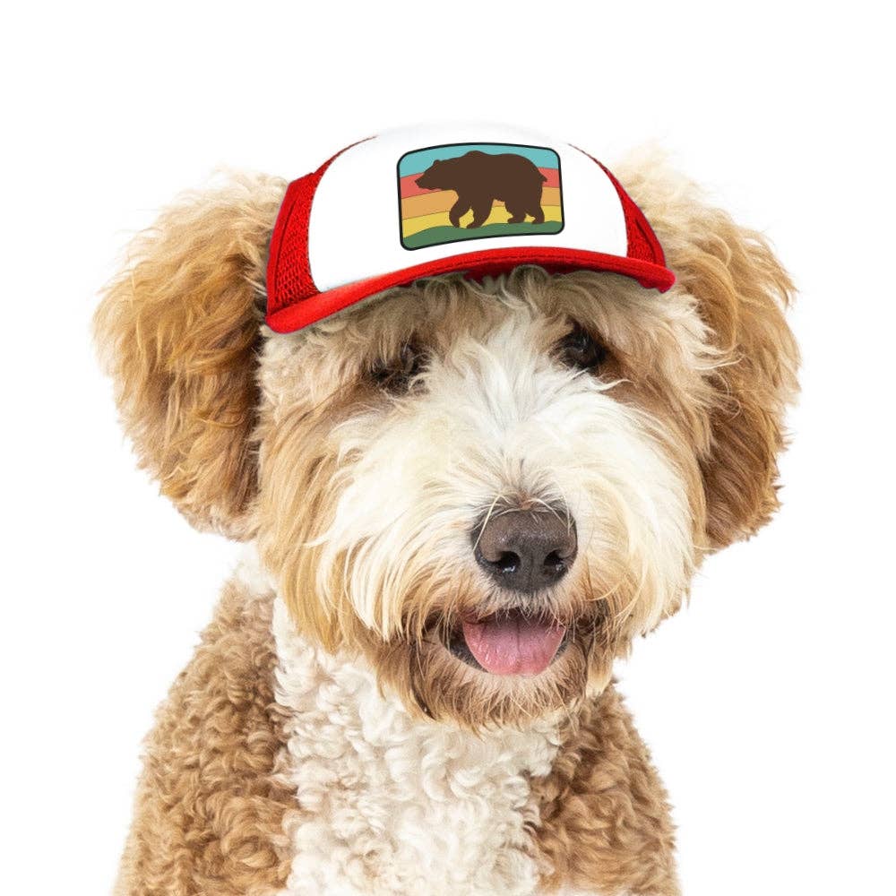 PupLid - Wholesale Hoed voor honden - Hond - Bear Standard of Namedrop | Truckerpet voor honden10