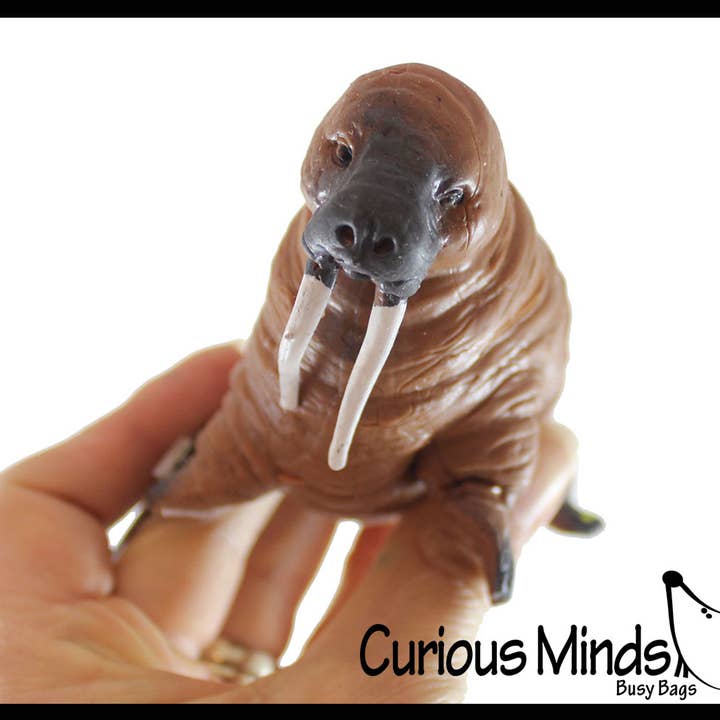 Curious Minds Toys – wholesale Mjuk leksak - Barn och baby – 1 Walrus Stretchy and Squeezy Toy - Crunchy Pärlfylld - Fi