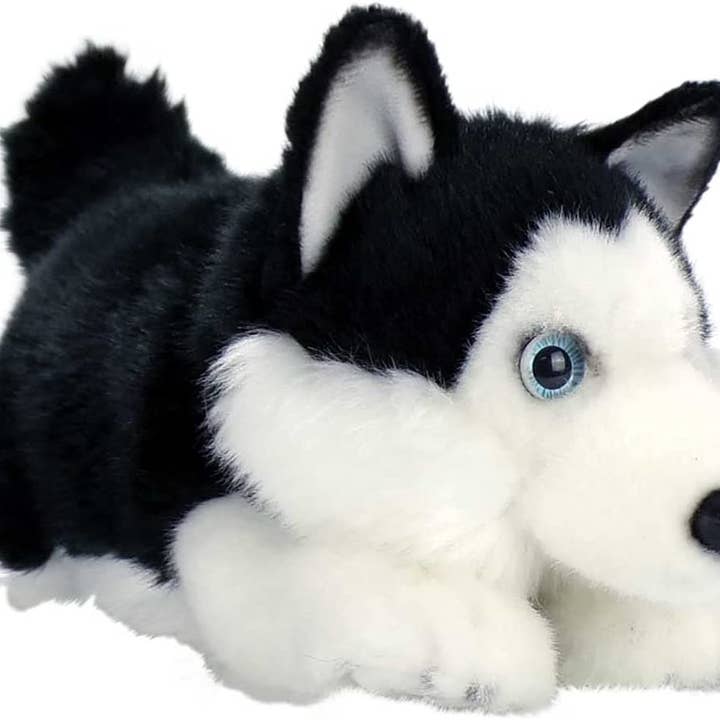 Jolitee - Wholesale Stuffed/Plush Toy - Kids & Baby - Aurora World Miyoni Lying Husky Plush (Black)1