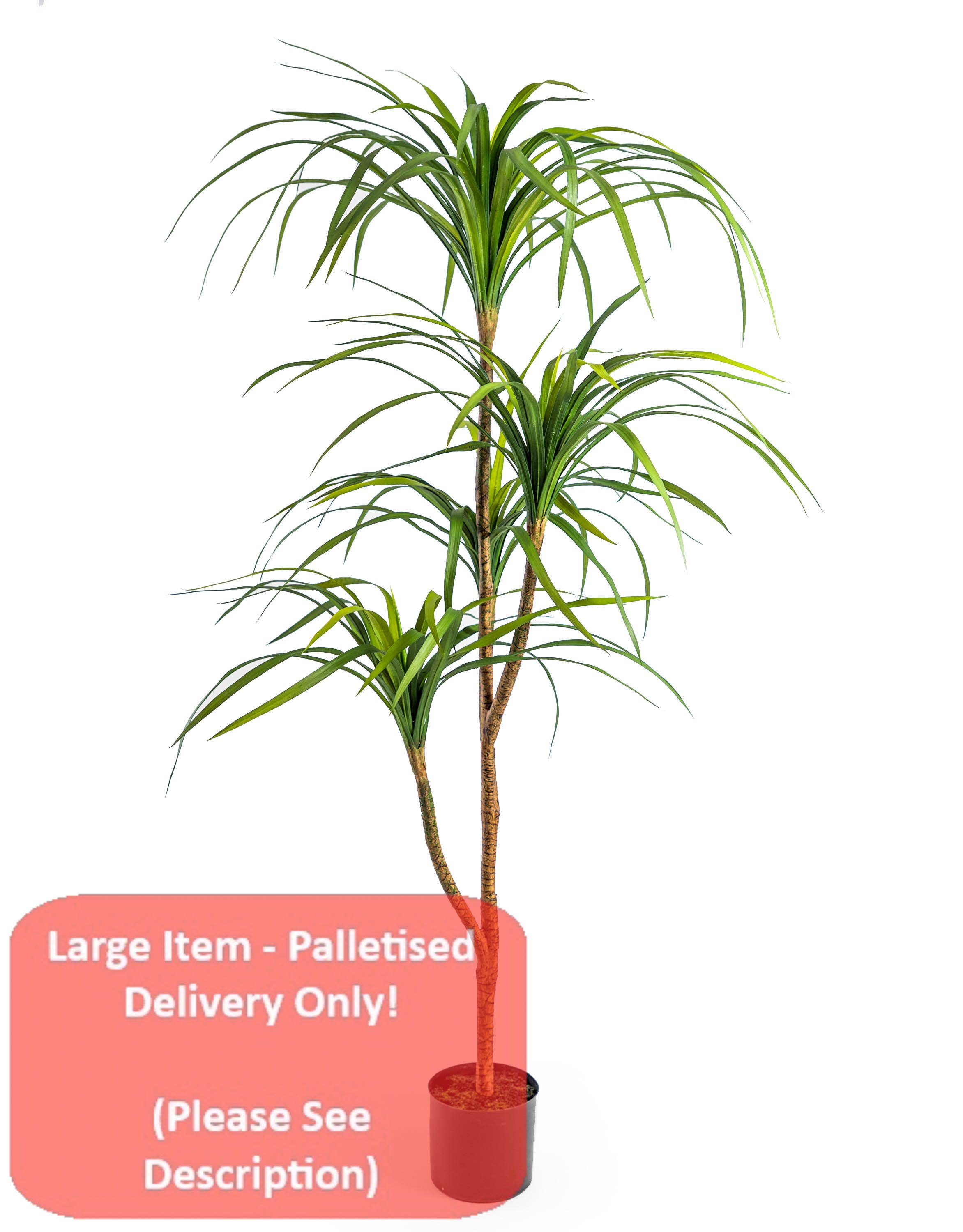 McGowan & Rutherford Ltd - Venta al por mayor Plantas artificiales - Árbol Grande de Marginata Ornamental