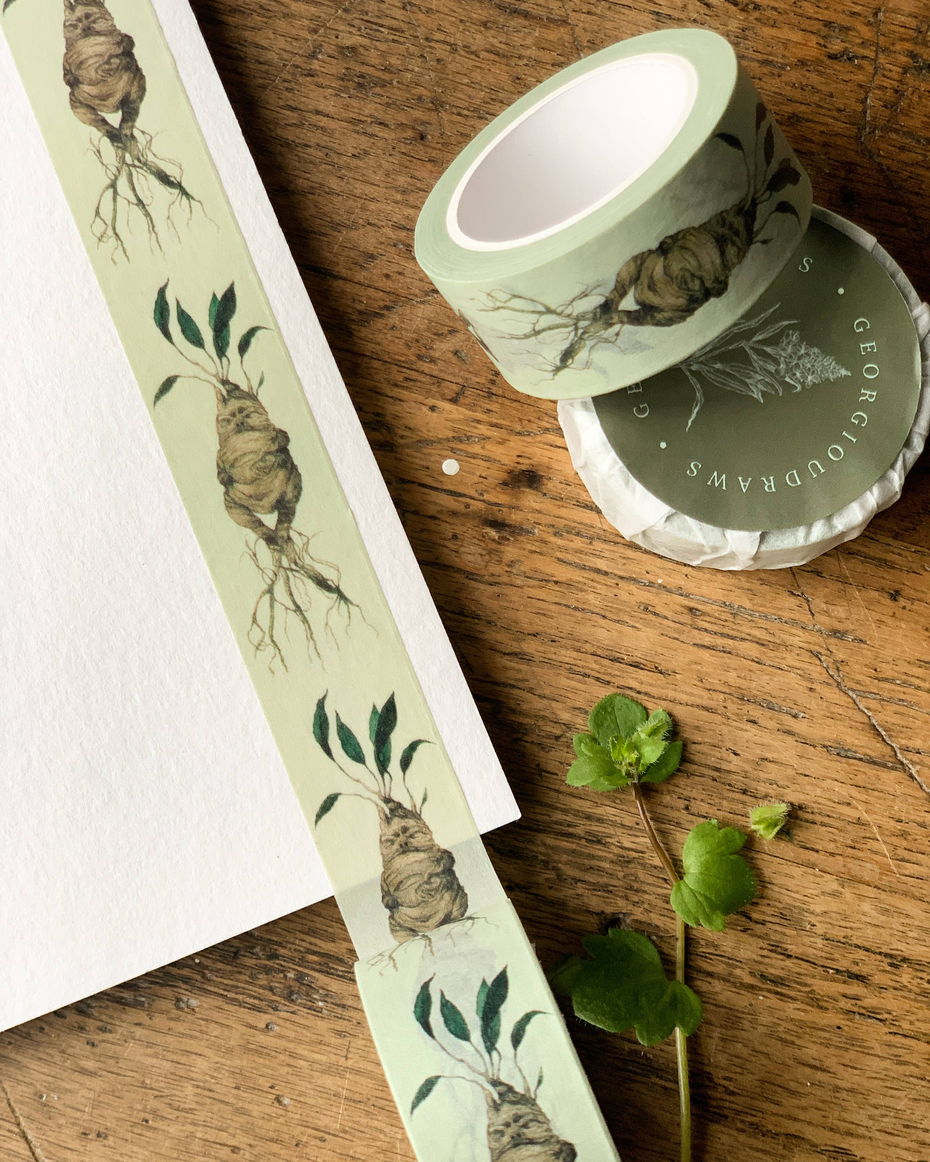 Georgiou Draws - Vente Rubans adhésifs Washi - Ruban Washi Herbology Magical Mandrake1