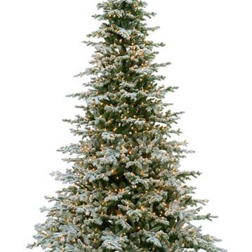 9.5'Hx75"D Snowy Norway Spruce Tree x2467 w/900 Smart Clear Lights on Metal Stand Snow for wholesale by Silk Flower Depot