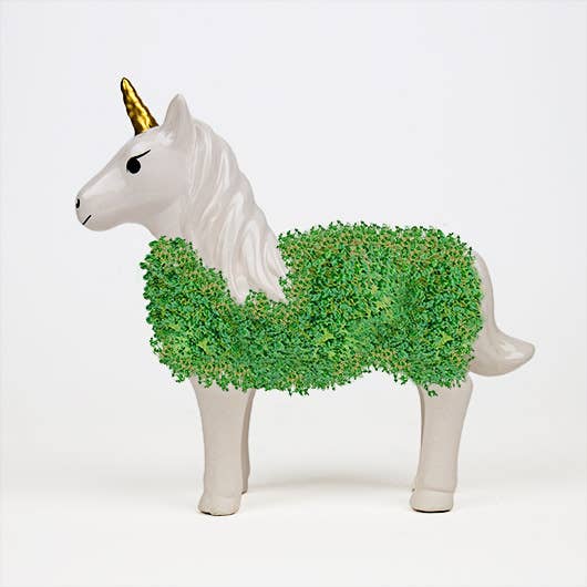 Gift Republic - Vendita all'ingrosso Semi di piante - Unicorno Chia Pet1