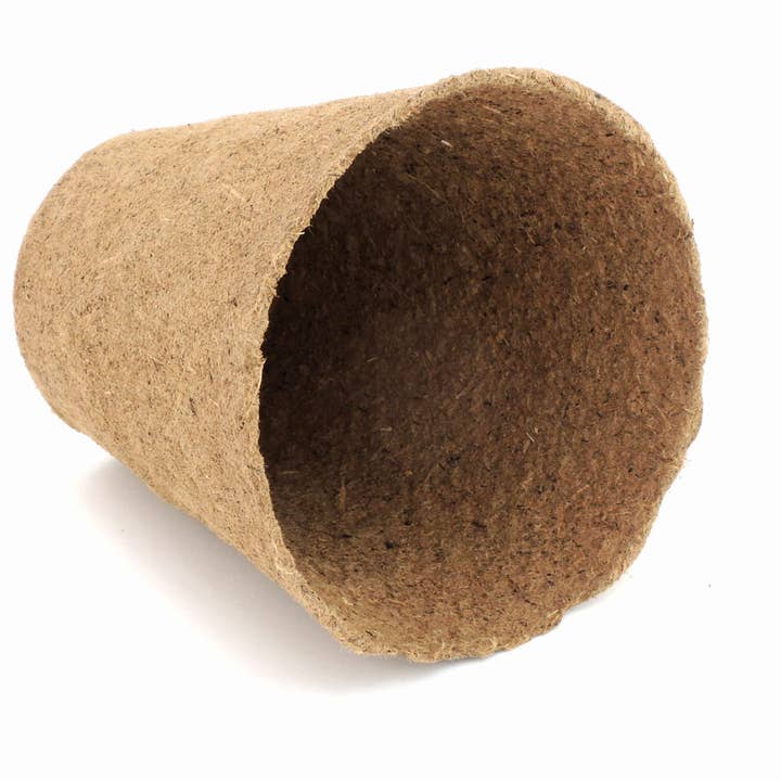 Daniel's Plants - Wholesale Plant Pot - 4" Naked Pots | Plantable Seed Starter Pots - Organic & Biodegradable