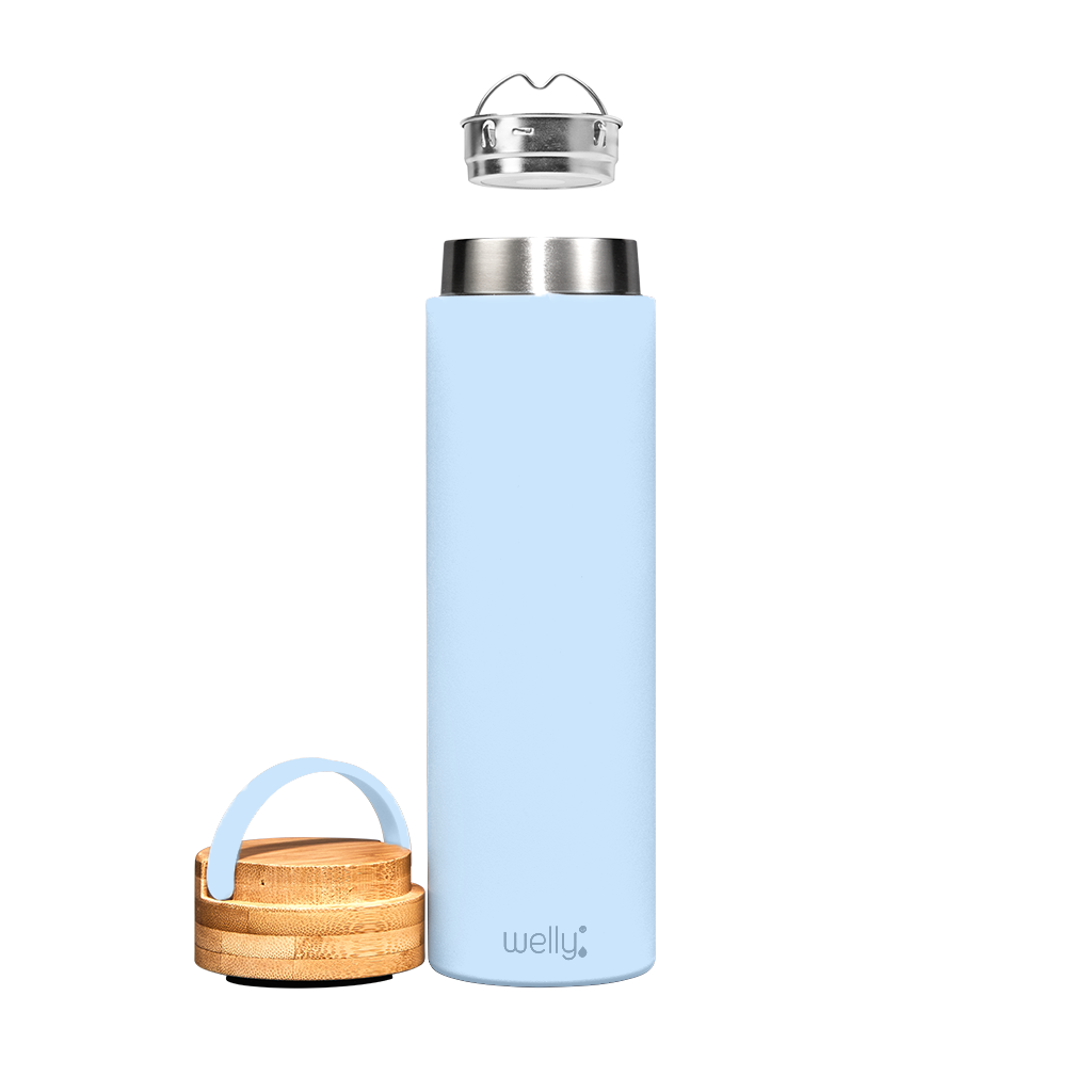 Welly - Wholesale Water Bottle - Traveler 20oz20