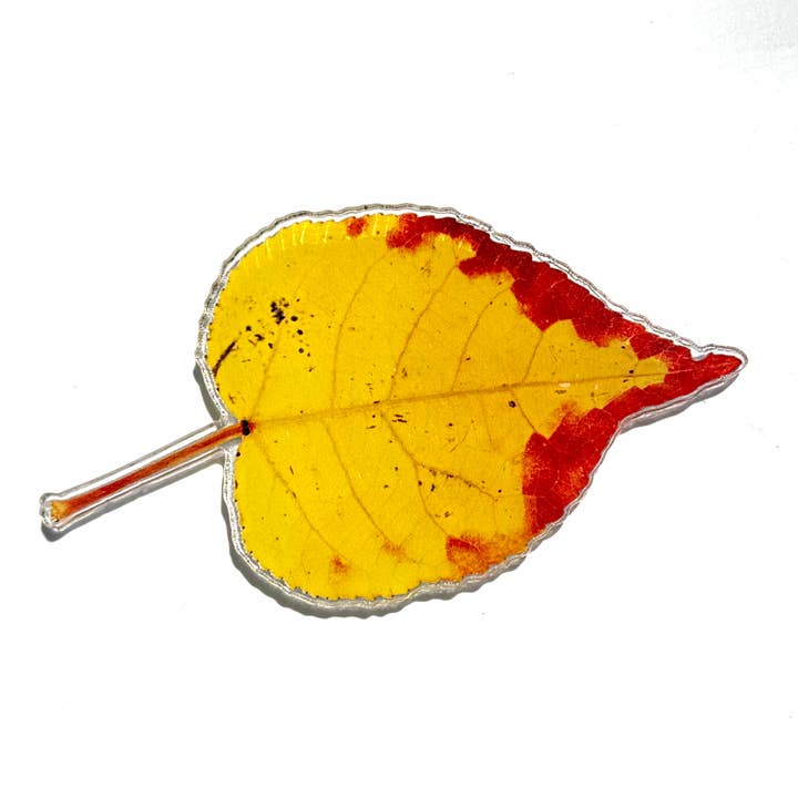3" Acrylic Aspen Leaf Magnet, 3A for wholesale by Reflections of The Winds