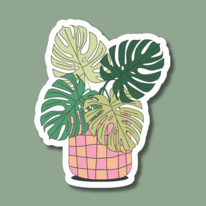 Monstera Checkered Pot Sticker, Plant Store Sticker, Retro for wholesale by The Vinyl Rose