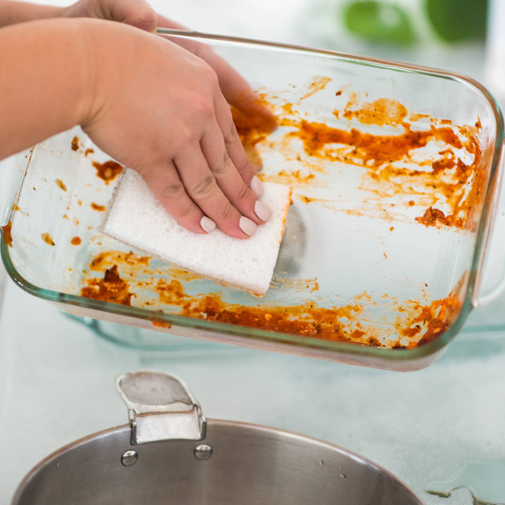 Full Circle Home - Wholesale Cleaning Sponge - Cleana Colada Scrubber Sponge (2pk)3