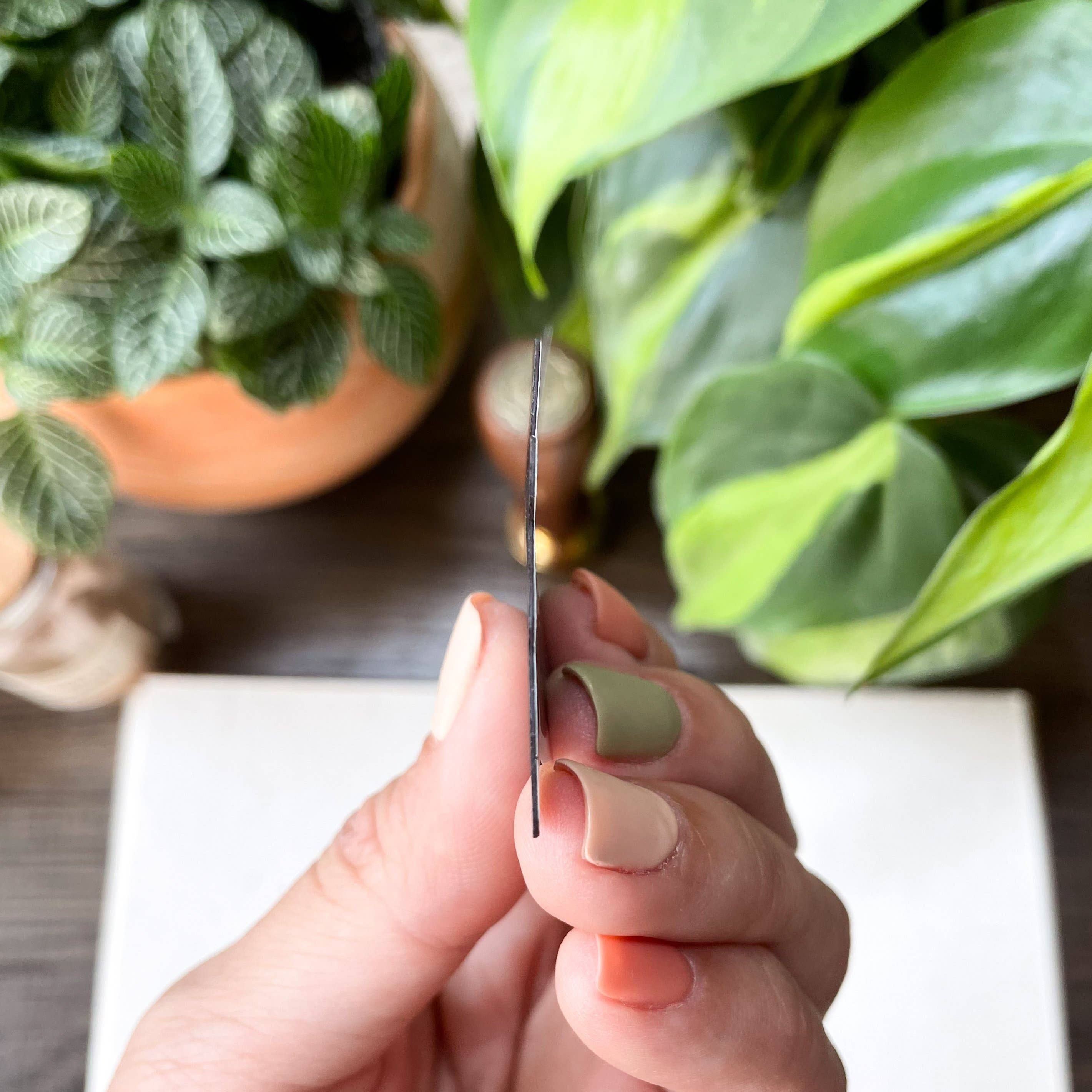 LINH T VO ART & ILLUSTRATION - Wholesale Magnet - MAGNET | I Was Normal 3 Plants Ago Magnet1