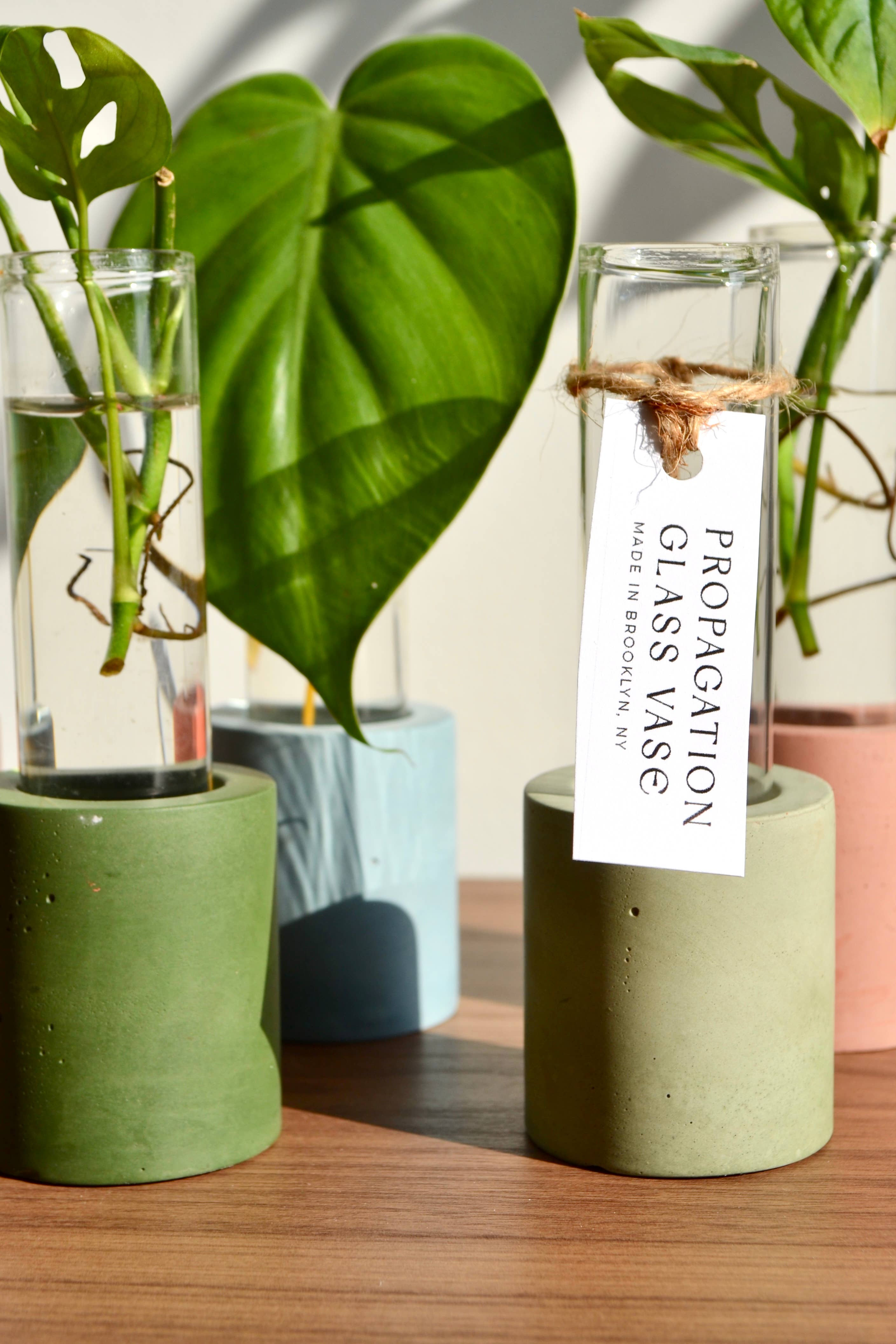 LindaMakess - Wholesale Vase - Single Concrete Plant Propagation Test tube Stand6