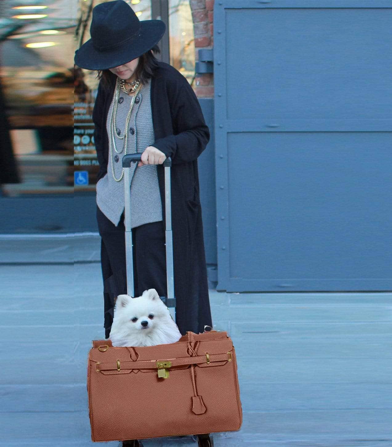 A Pet with Paws® LLC - Wholesale Pet Carrier - Cat/Dog - Madison Carrier With Pet Trek4