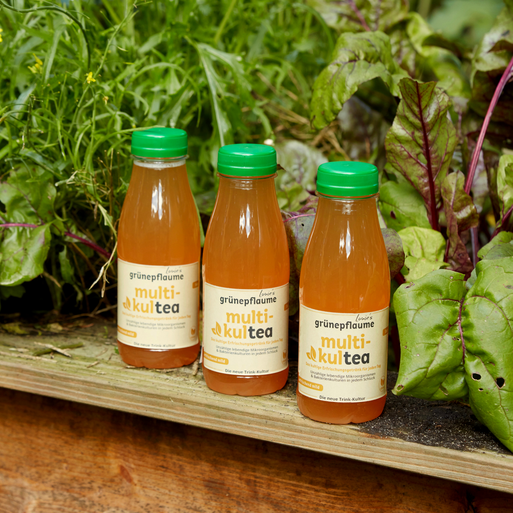 Louie's Grünepflaume - Wholesale Health/Detox Tea - organic multi-cultea1