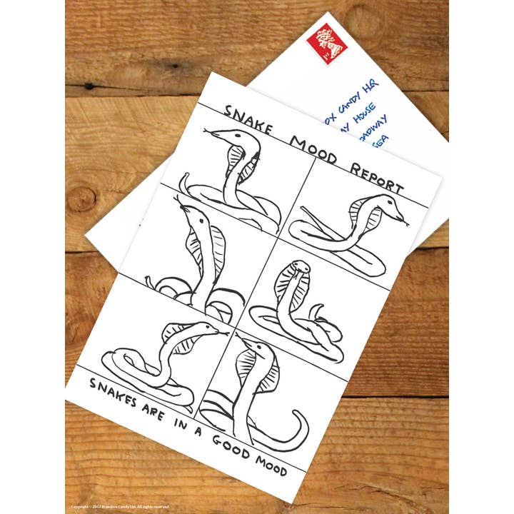 David Shrigley x Brainbox Candy - Wholesale Postcard - Funny A6 Art Postcard By David Shrigley - Snake Mood Report1