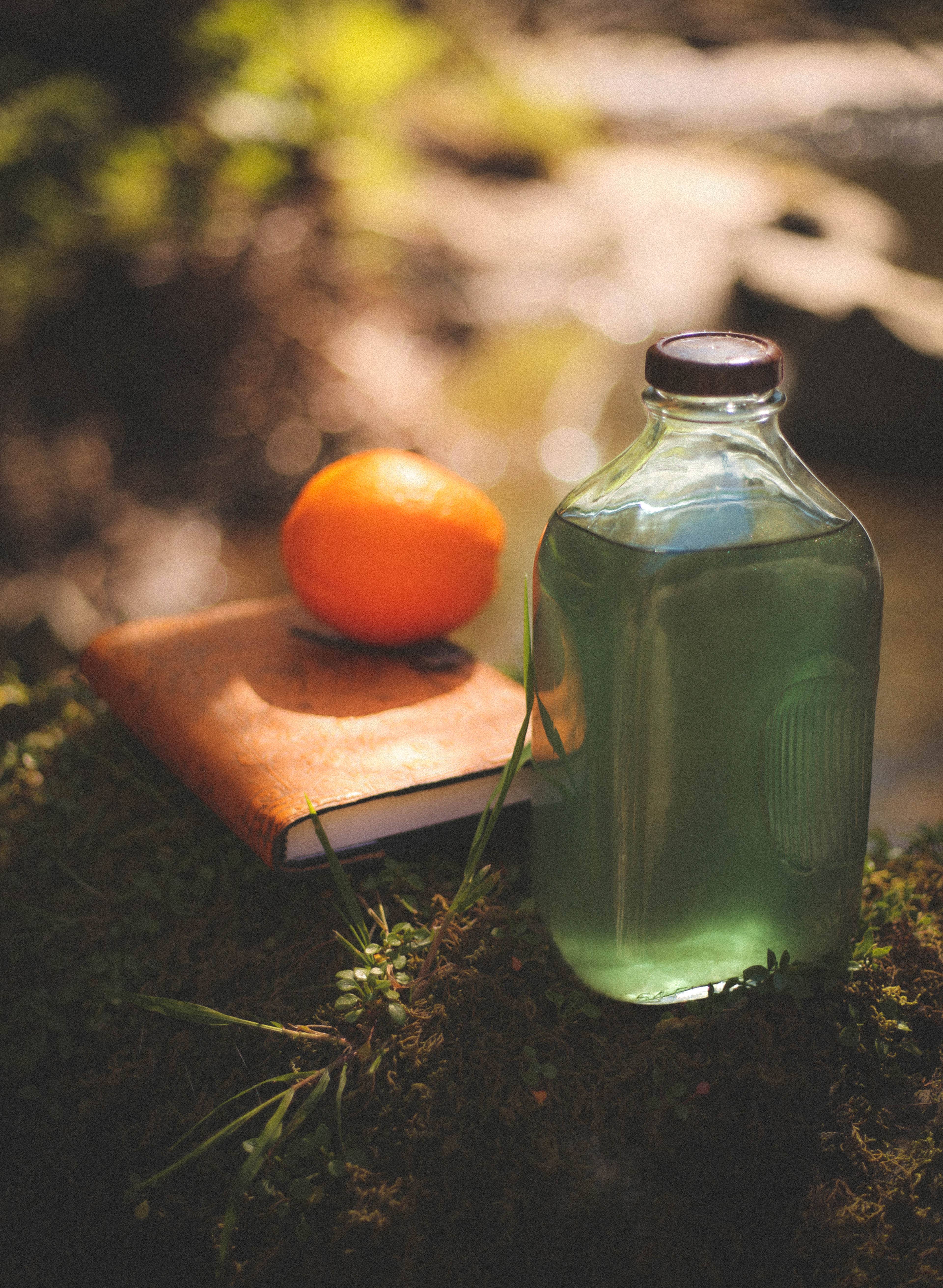 Tea Treehouse - Wholesale Loose Tea - Butterfly Infusion2