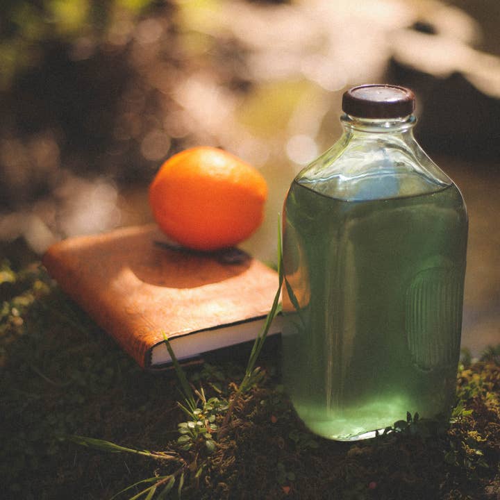 Tea Treehouse - Wholesale Loose Tea - Butterfly Infusion2