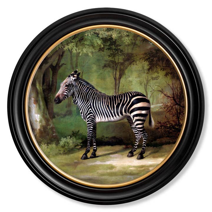 T A Interiors Wall Art & Mirrors – wholesale Art print – c.1763 George Stubb's Zebra - Round Frame1