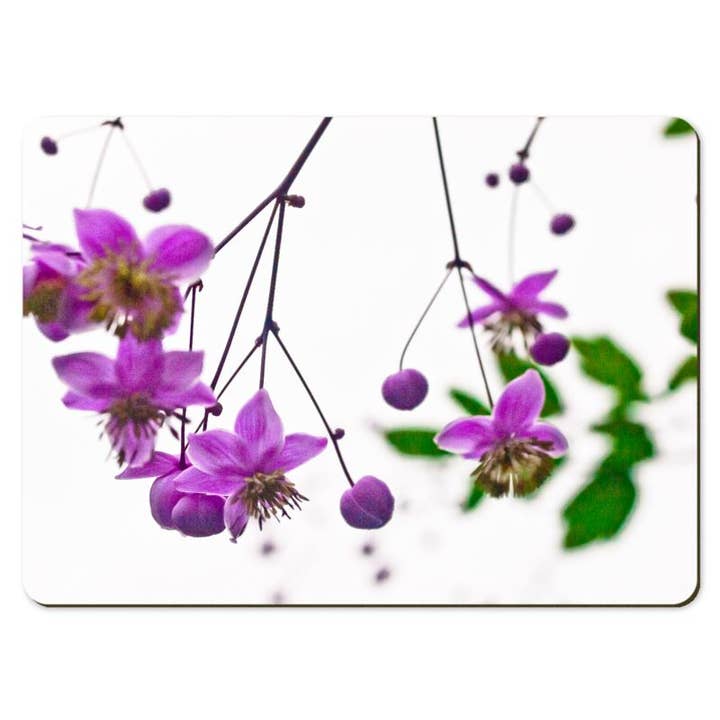 Gregory Dennis Design - Wholesale Placemat - 6 Floral Placemats - Thalictrum4