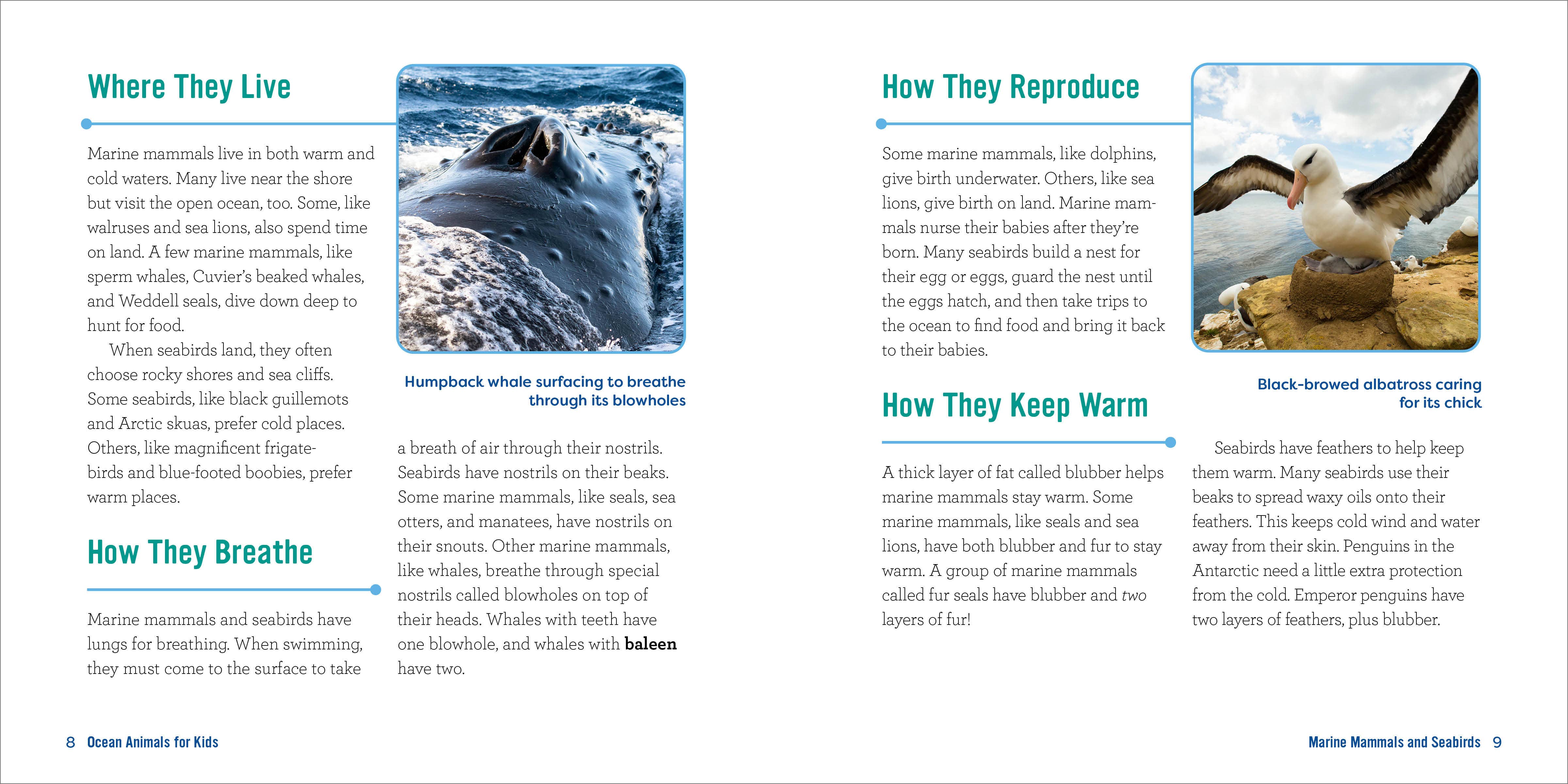 Sourcebooks - Wholesale Nature & Outdoors - Ocean Animals for Kids2