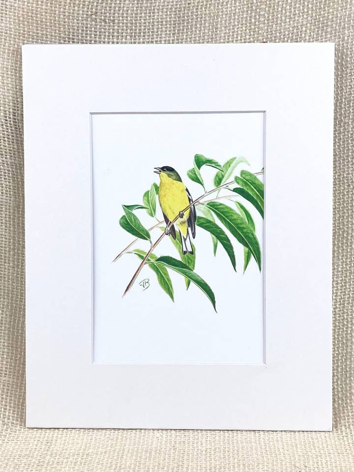 Impresión enmarañada de jilguero menor, impresión de archivo, arte de aves para venta al por mayor de Streetlightbirds