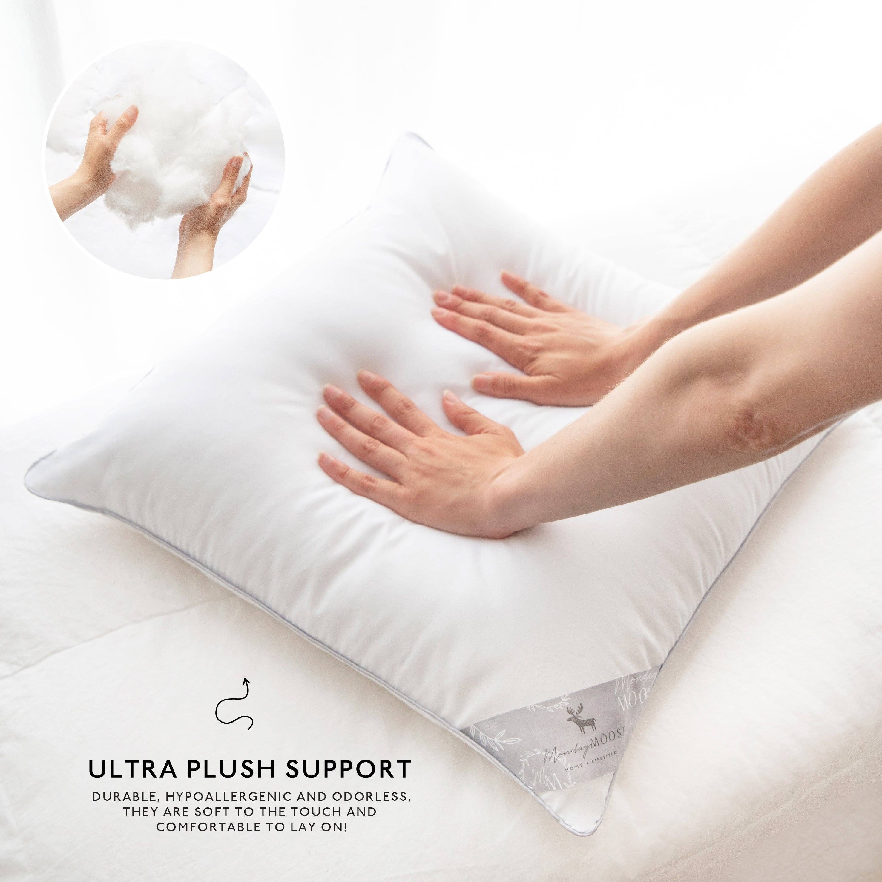 Monday Moose - Wholesale Pillow Insert - Delirio Pillow Inserts (4-Pack)2