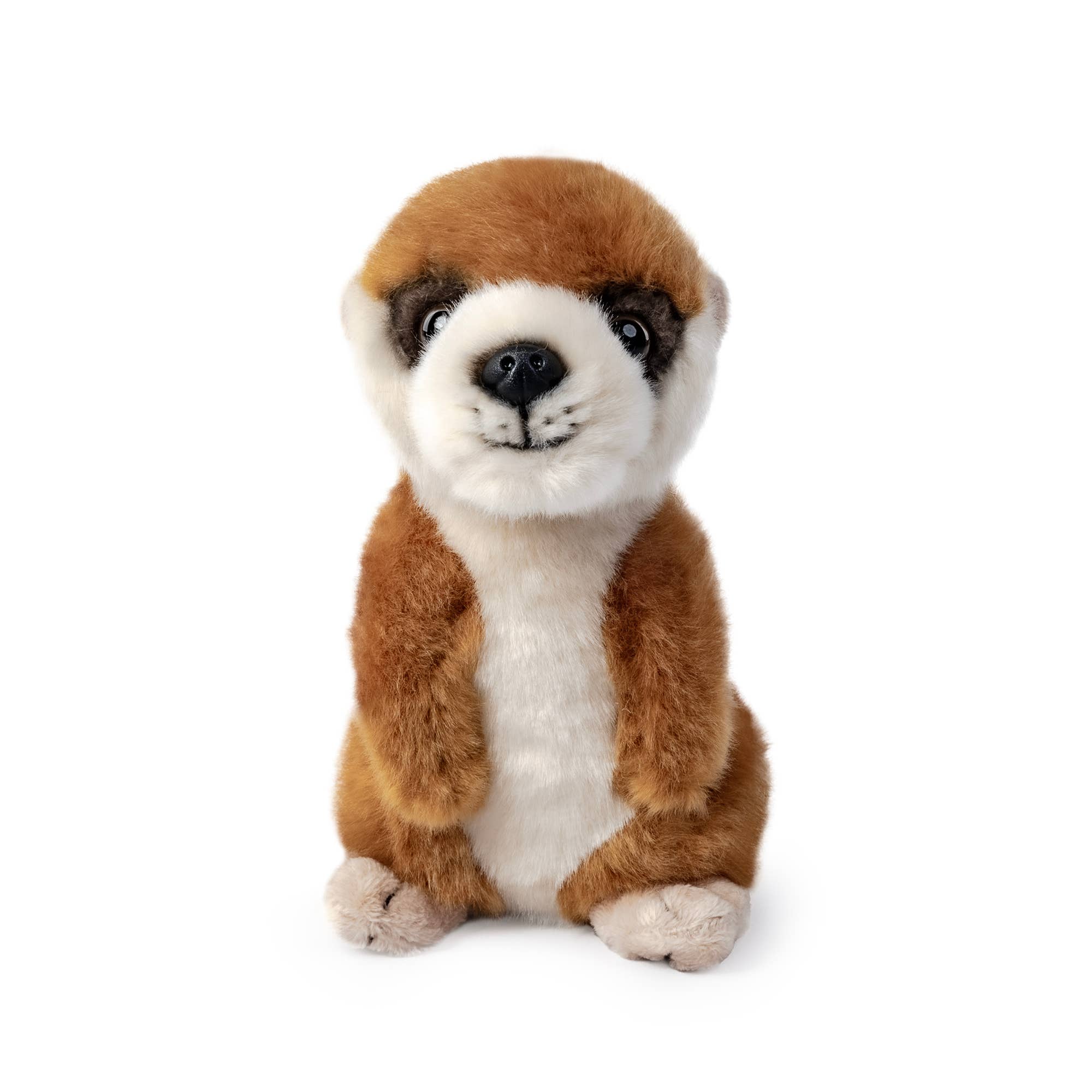 Keycraft - Wholesale Stuffed/Plush Toy - Kids & Baby - Living Nature Meerkat Pup Plush Stuffed Animal Toy