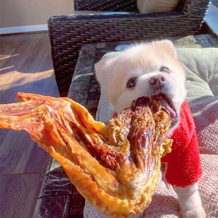Naked Beasts, Inc. - Wholesale Pet Treats - Dog - Turkey Wing