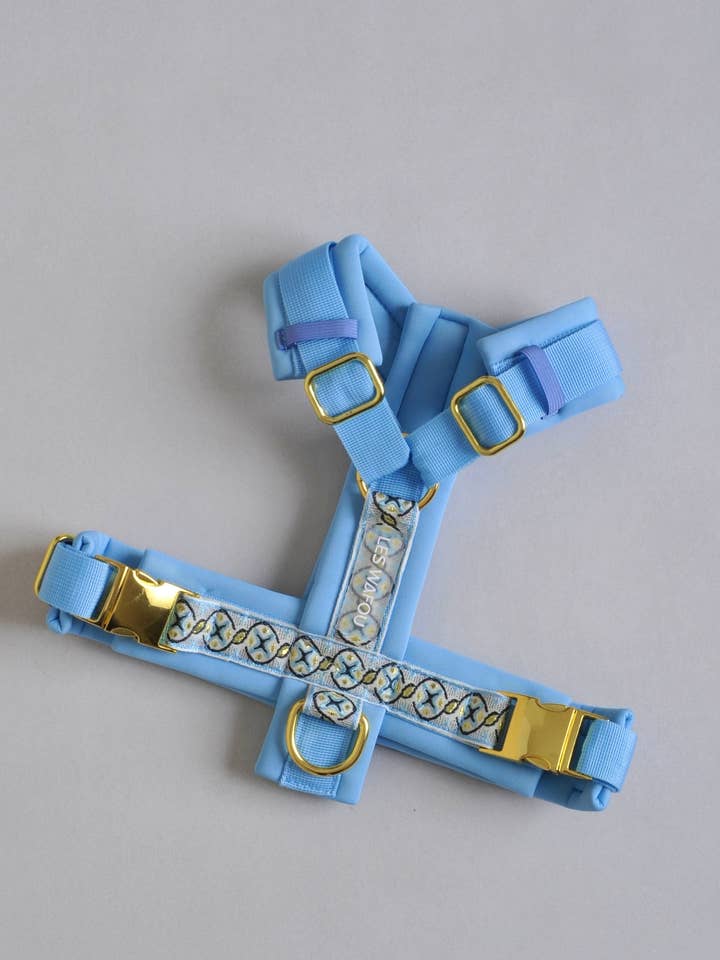 Hundsele - Blå för wholesale av Les Wafou