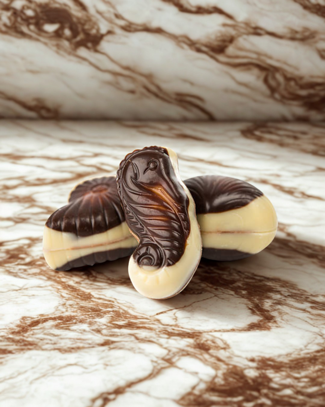 Candycat - Wholesale Chocolate Box - Mini Frutos do Mar Chocolates - 250g1