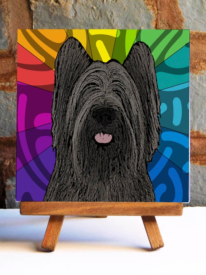 Briard Black Ceramic Tile for wholesale by Sabyloo