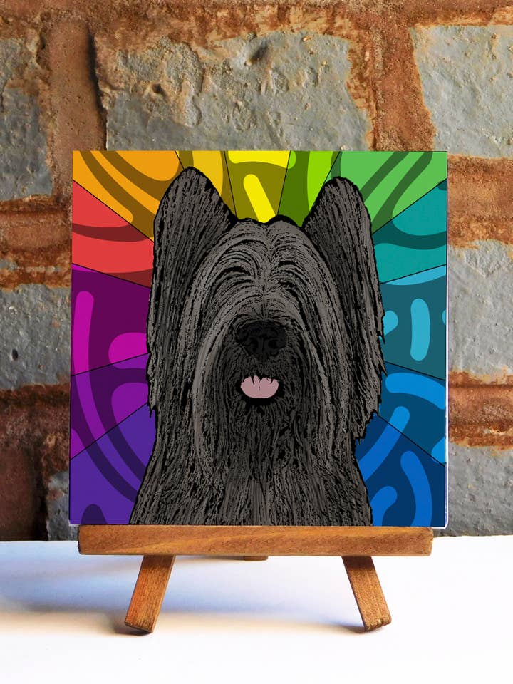 Briard sort keramisk flise for engroshandel hos Sabyloo