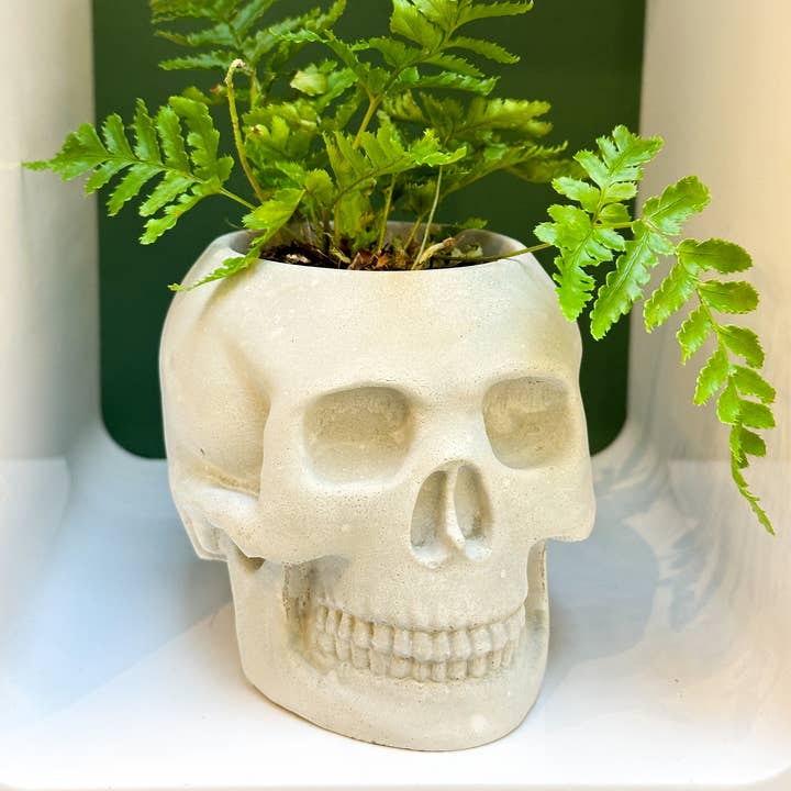 The Plant Supply - Wholesale Plant Pot - Skull Concrete Planter | Western Halloween Plant Decor1