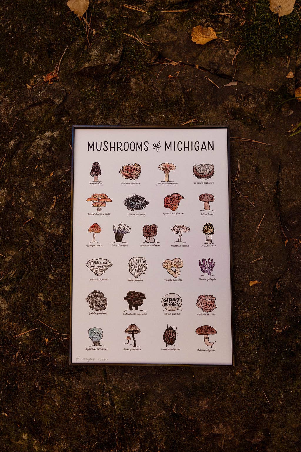 Home Squirrel - Wholesale Art Print - Mushrooms of Michigan Watercolor Print