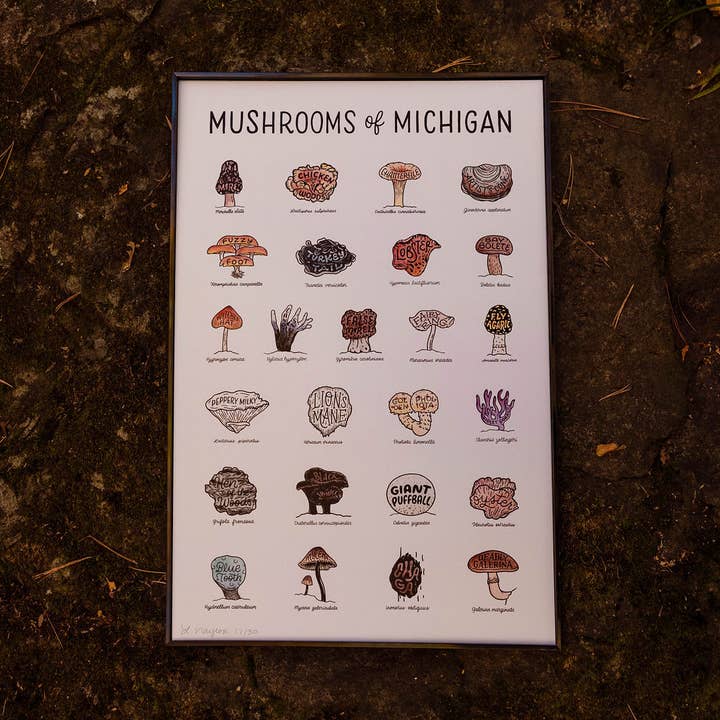 Home Squirrel - Wholesale Art Print - Mushrooms of Michigan Watercolor Print0