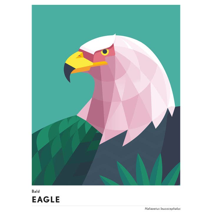 BLUE SHAKER - Wholesale Art Print - Mark Harrison - Animal Eagle